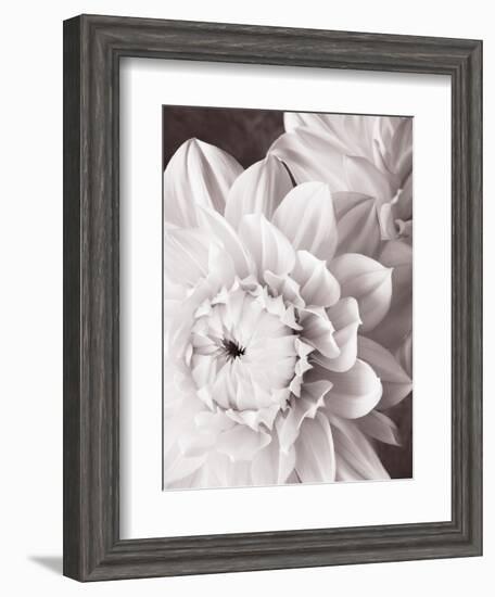 Black and White Dahlias I-Christine Zalewski-Framed Art Print