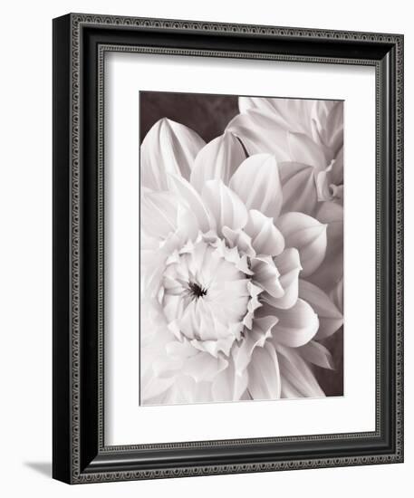 Black and White Dahlias I-Christine Zalewski-Framed Art Print