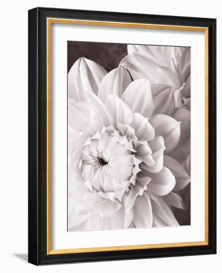 Black and White Dahlias I-Christine Zalewski-Framed Art Print