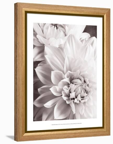 Black and White Dahlias II-Christine Zalewski-Framed Stretched Canvas