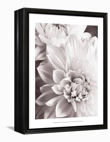 Black and White Dahlias II-Christine Zalewski-Framed Stretched Canvas