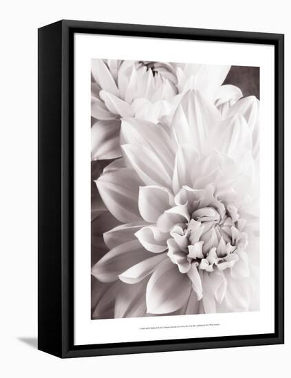 Black and White Dahlias II-Christine Zalewski-Framed Stretched Canvas