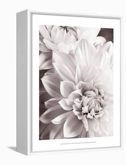 Black and White Dahlias II-Christine Zalewski-Framed Stretched Canvas