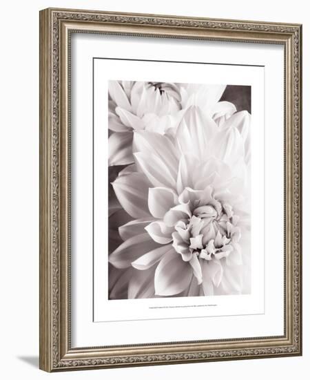 Black and White Dahlias II-Christine Zalewski-Framed Art Print