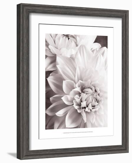 Black and White Dahlias II-Christine Zalewski-Framed Art Print