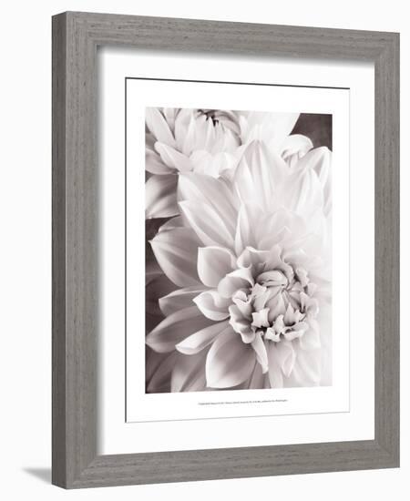 Black and White Dahlias II-Christine Zalewski-Framed Art Print