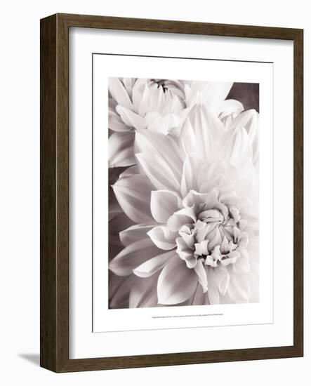 Black and White Dahlias II-Christine Zalewski-Framed Art Print