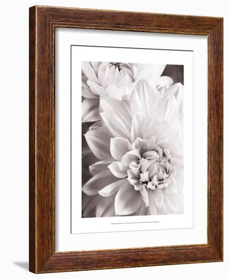 Black and White Dahlias II-Christine Zalewski-Framed Art Print