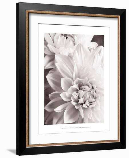 Black and White Dahlias II-Christine Zalewski-Framed Art Print