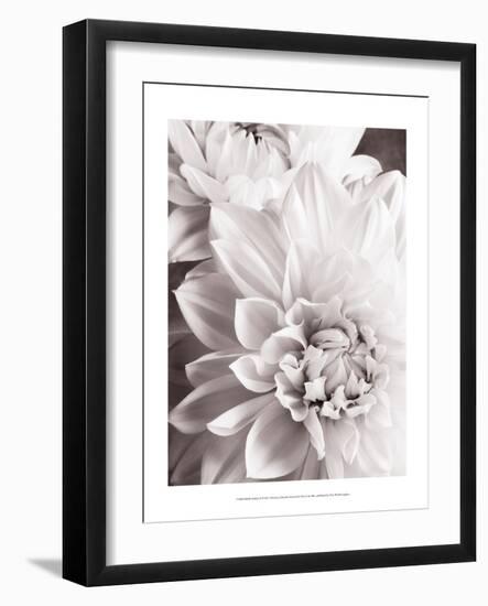 Black and White Dahlias II-Christine Zalewski-Framed Art Print
