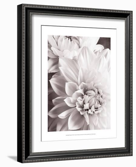 Black and White Dahlias II-Christine Zalewski-Framed Art Print