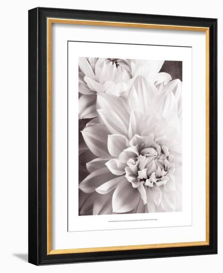 Black and White Dahlias II-Christine Zalewski-Framed Art Print