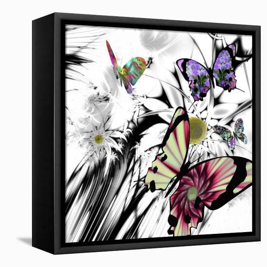 Black and White Daisies-Mindy Sommers-Framed Premier Image Canvas