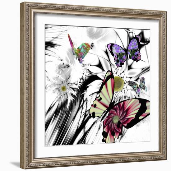 Black and White Daisies-Mindy Sommers-Framed Giclee Print