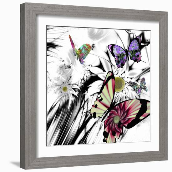 Black and White Daisies-Mindy Sommers-Framed Giclee Print