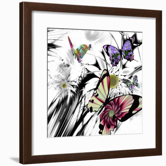 Black and White Daisies-Mindy Sommers-Framed Giclee Print