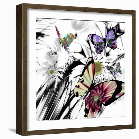 Black and White Daisies-Mindy Sommers-Framed Giclee Print