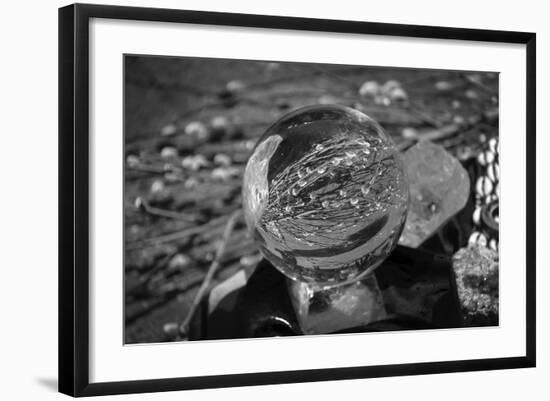 Photo, , large