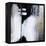 Black and White Drama-Karen Hale-Framed Stretched Canvas