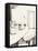 Black and White Drawing of Cat-Marie Bertrand-Framed Premier Image Canvas