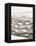 Black and White Drawing of Fish Swimming in River-Marie Bertrand-Framed Premier Image Canvas