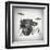 Black and White Drums-Dan Sproul-Framed Art Print