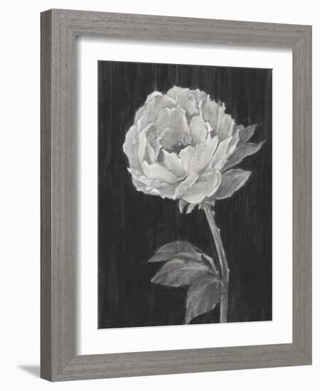 Black and White Flowers II-Ethan Harper-Framed Art Print