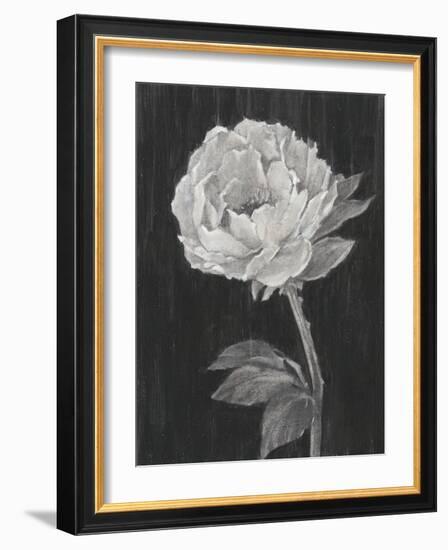 Black and White Flowers II-Ethan Harper-Framed Art Print