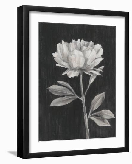 Black and White Flowers III-Ethan Harper-Framed Art Print