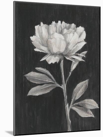Black and White Flowers III-Ethan Harper-Mounted Art Print