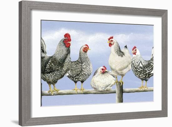 Black and White Hens 1-Janet Pidoux-Framed Giclee Print