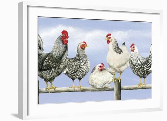 Black and White Hens 1-Janet Pidoux-Framed Giclee Print