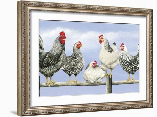 Black and White Hens 1-Janet Pidoux-Framed Giclee Print