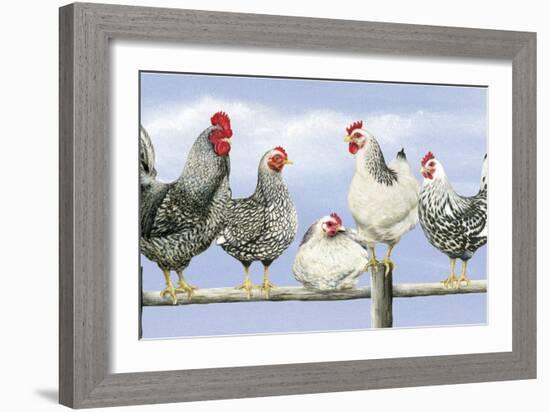 Black and White Hens 1-Janet Pidoux-Framed Giclee Print