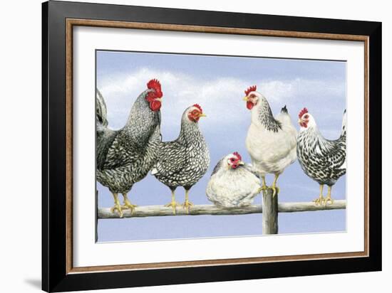 Black and White Hens 1-Janet Pidoux-Framed Giclee Print