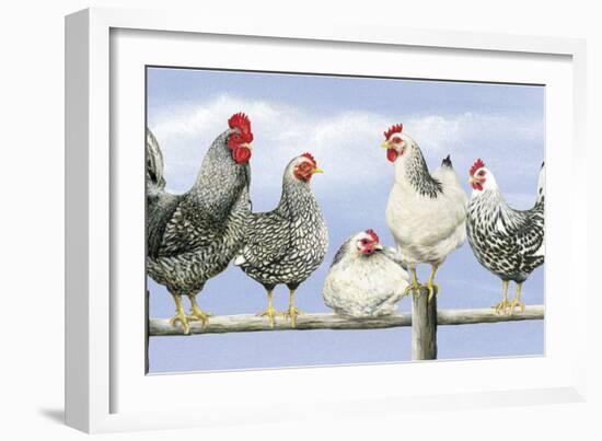 Black and White Hens 1-Janet Pidoux-Framed Giclee Print