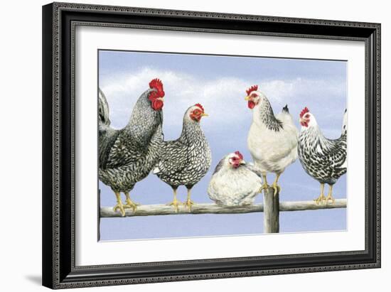 Black and White Hens 1-Janet Pidoux-Framed Giclee Print