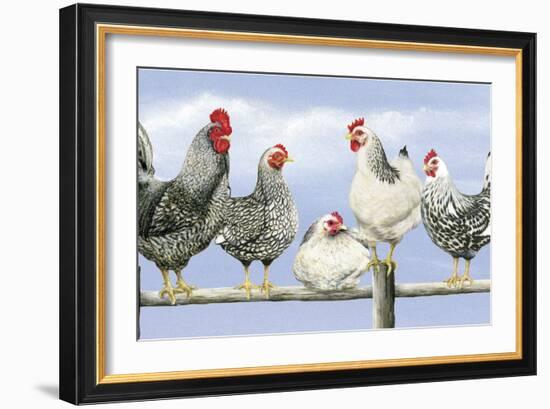 Black and White Hens 1-Janet Pidoux-Framed Giclee Print