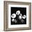 Black and White II-Irena Orlov-Framed Premium Giclee Print