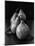 Black and White Image of 4 Pears-Carin Victoria Harris-Mounted Photographic Print