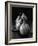 Black and White Image of 4 Pears-Carin Victoria Harris-Framed Photographic Print