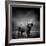 Black and White Image of A Buffalo-byrdyak-Framed Photographic Print