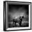 Black and White Image of A Buffalo-byrdyak-Framed Photographic Print