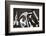 Black and White Image of a Set of Tools on a Textured Metallic Background-Kamira-Framed Photographic Print