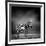 Black and White Image of A Zebra-byrdyak-Framed Photographic Print