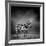 Black and White Image of A Zebra-byrdyak-Framed Premium Photographic Print