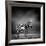 Black and White Image of A Zebra-byrdyak-Framed Photographic Print