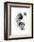 Black and White Jellyfish-Jessica Durrant-Framed Art Print