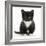 Black-And-White Kitten Sitting, Against White Background-Mark Taylor-Framed Photographic Print