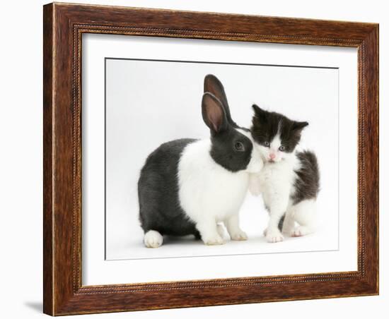 Black-And-White Kitten with Blue Dutch Rabbit-Jane Burton-Framed Photographic Print
